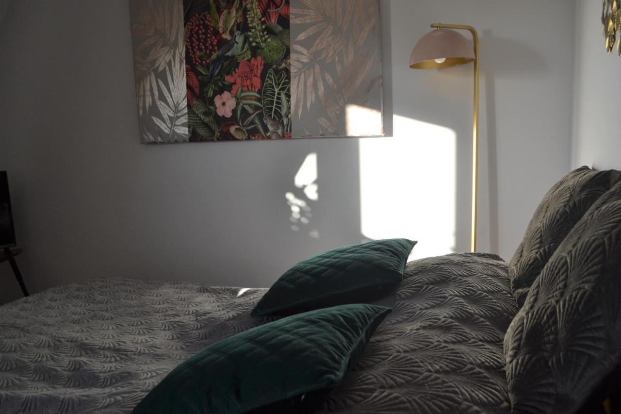 Aloes Studio Краків Екстер'єр фото