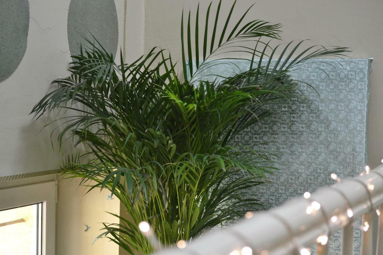 Aloes Studio Краків Екстер'єр фото